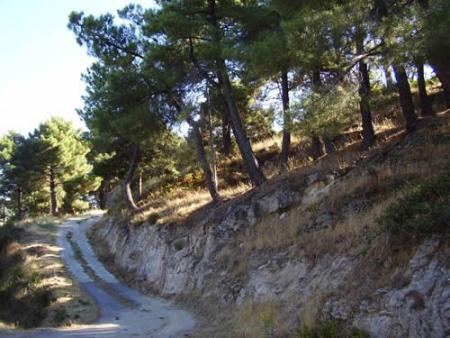 Imagen Ruta de La Garganta